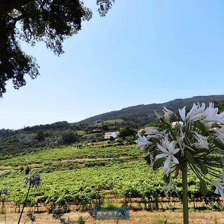Apartamento Mystay - Casa Do Vale Jc Vila Nune