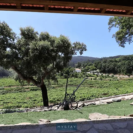 Apartamento Mystay - Casa Do Vale Jc *