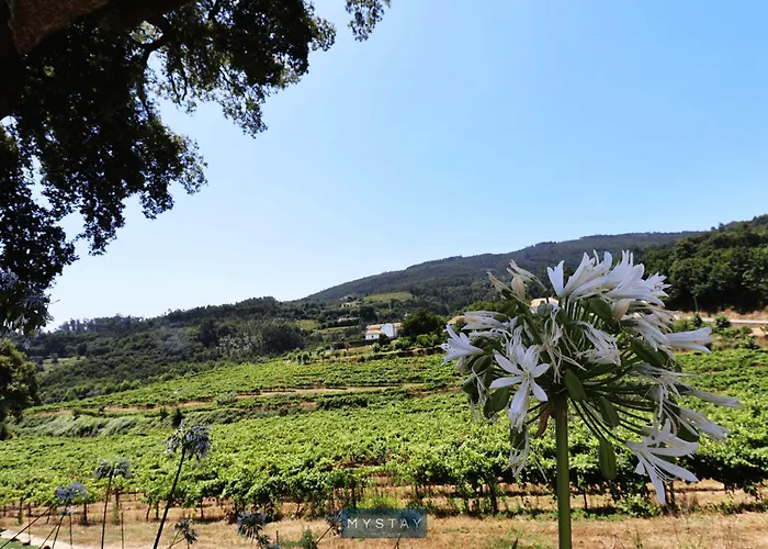 아파트 Mystay - Casa Do Vale Jc Vila Nune